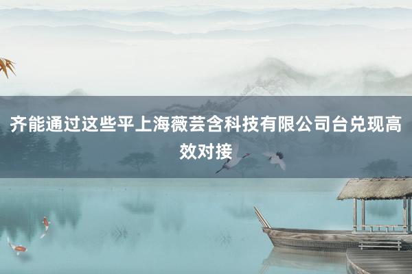 齐能通过这些平上海薇芸含科技有限公司台兑现高效对接